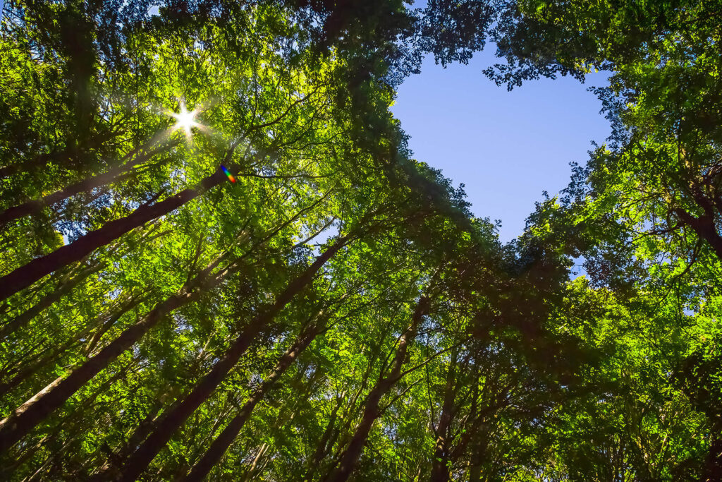 Base Materials is on a Sustainability Journey