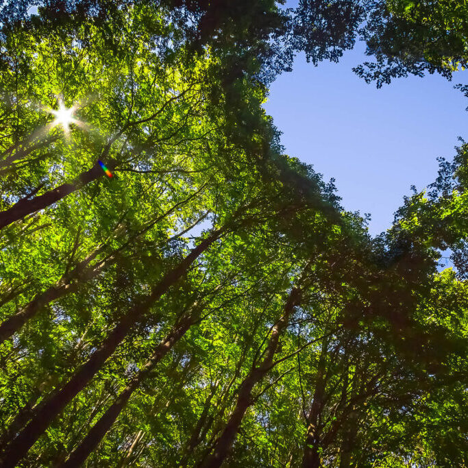 Base Materials is on a Sustainability Journey