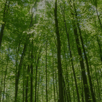 Pardot email banners (1)