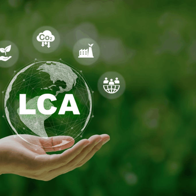 Shutterstock-2313291963 BM edits