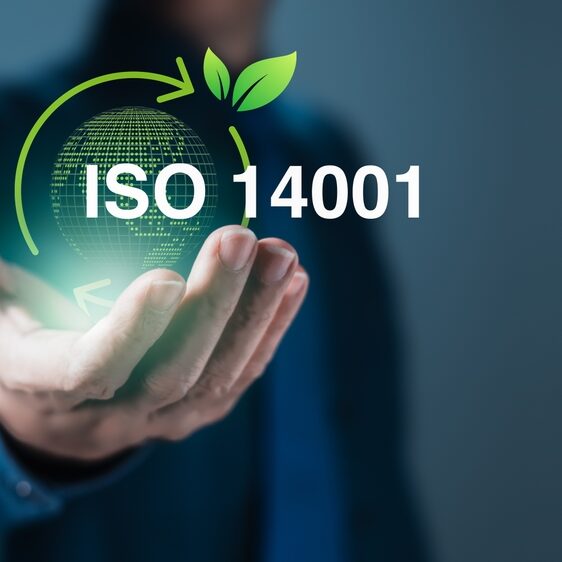 A,Hand,Presenting,A,Glowing,Globe,With,The,Text,"iso